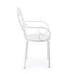 Picture of Outdoor Garden Chair