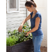 Picture of Elevated Garden Bed