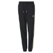 Picture of PUMA TFS WH Track Pants FT B-Puma Black-Male-59783101