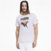 Picture of PUMA TFS Graphic Tee-Puma White-Male-59761402