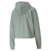 Picture of PUMA ESS+ Metallic Cropped Hoody TR-Aqua Gray-Female-58241149