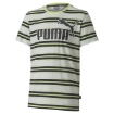 Picture of PUMA ESS Stripe Logo Tee B-Sharp Green-Male-58232434