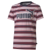 Picture of PUMA ESS Stripe Logo Tee B-Peacoat-Male-58232406