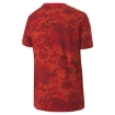 Picture of PUMA Classics Graphics AOP Tee B-High Risk Red-Male-59780311