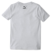 Picture of PUMA Animals Suede Tee-Vaporous Gray-Unisex-58335105