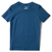 Picture of PUMA Animals Suede Tee-Digi-blue-Unisex-58335136