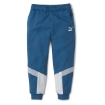 Picture of PUMA Animals MCS Sweatpants-Digi-blue-Unisex-58335436