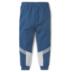 Picture of PUMA Animals MCS Sweatpants-Digi-blue-Unisex-58335436