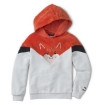 Picture of PUMA Animals MCS Hoodie-Vaporous Gray-Unisex-58335205