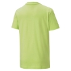 Picture of PUMA Alpha Graphic Tee B-Sharp Green-Male-58318834