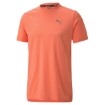 Picture of PUMA Run Laser Cat SS Tee-Nrgy Peach-Male-51936904