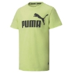 Picture of PUMA ESS Logo Tee B-Sharp Green