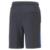 Picture of PUMA CLSX Shorts TR Ebony - 53171364